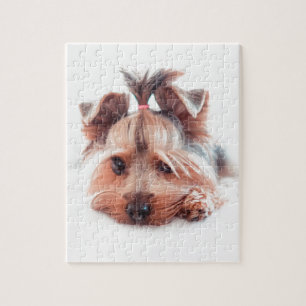 Yorkie HundeLiebe Yorkies Yorkshire Terrier Puzzle