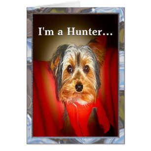 Yorkie Hunter individuell anpassbar