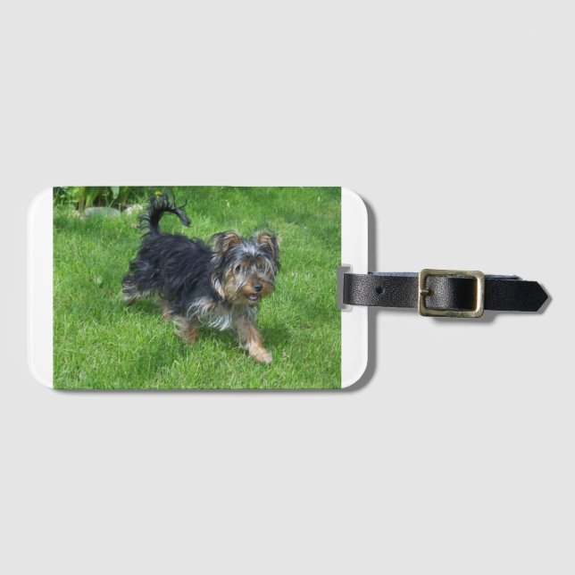 Yorkie in Bewegung Gepäckanhänger (Vorderseite (Horizontal))