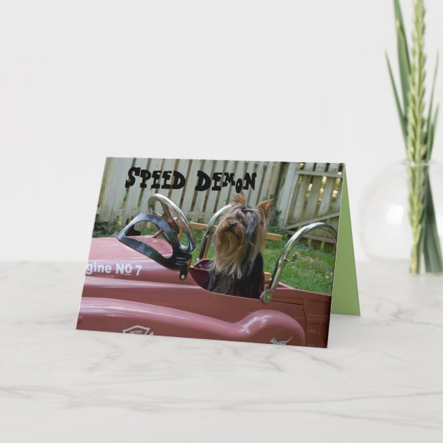 Yorkie in Car Birthday Karte (Vorderseite)