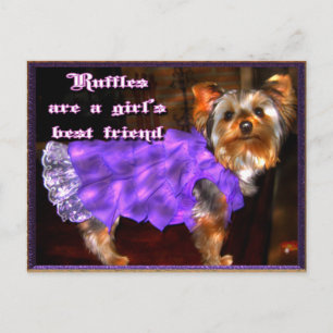 Yorkie in Ruffles Postcard Postkarte