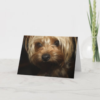 Yorkie Karte