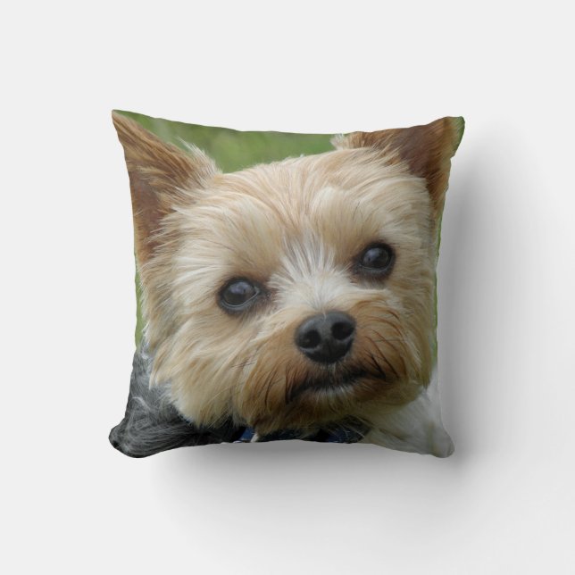Yorkie Kissen (Vorderseite)