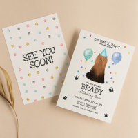 Yorkie Lasse Pawty Dog Welppy Birthday Blue