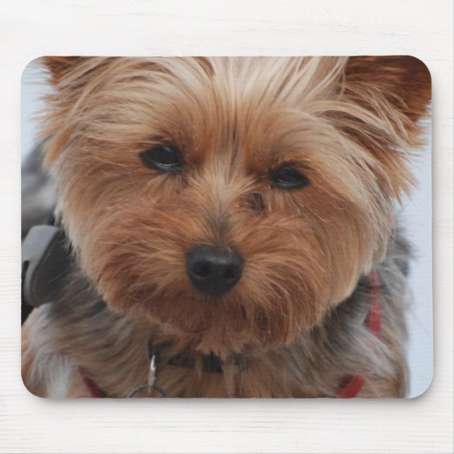 Yorkie Mausunterlage Mousepad (Vorne)
