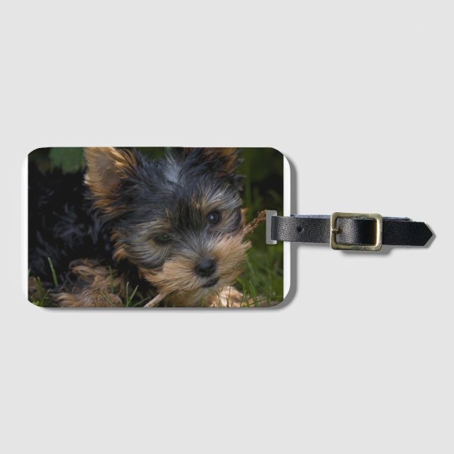 Yorkie mit Stock Gepäckanhänger (Vorderseite (Horizontal))