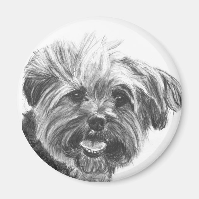Yorkie Mix Charcoal Zeichnend Magnet (Vorne)