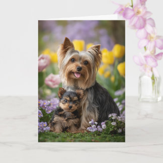 Yorkie Mom Mother’s Day Love Karte
