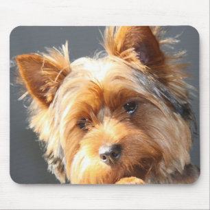 Yorkie Mousepad