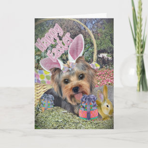 Yorkie Oaster Egg Hunt Cards Feiertagskarte