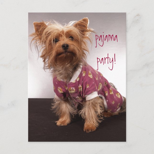 Yorkie Pajama Party Einladungspostkarte (Vorderseite)