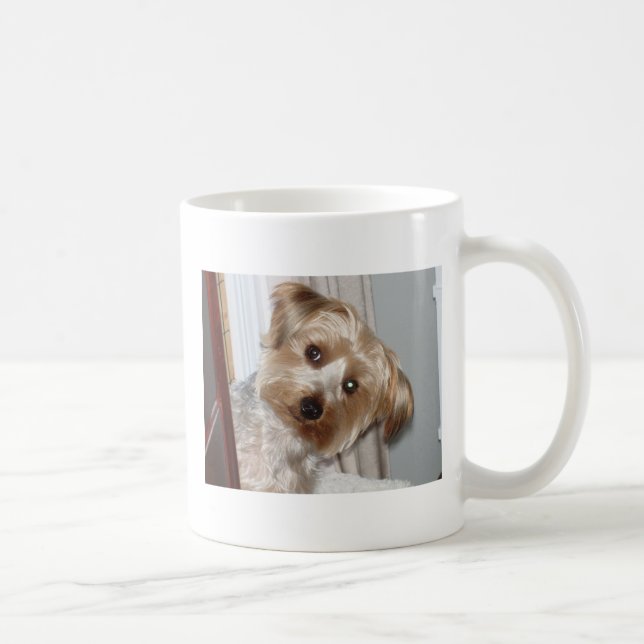 Yorkie Peeking um die Ecke Kaffeetasse (Rechts)