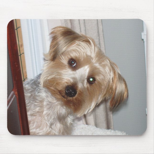 Yorkie Peeking um die Ecke Mousepad (Vorne)