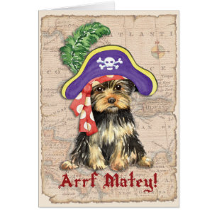 Yorkie Pirate Grußkarte