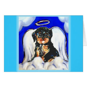 Yorkie Poo Angel