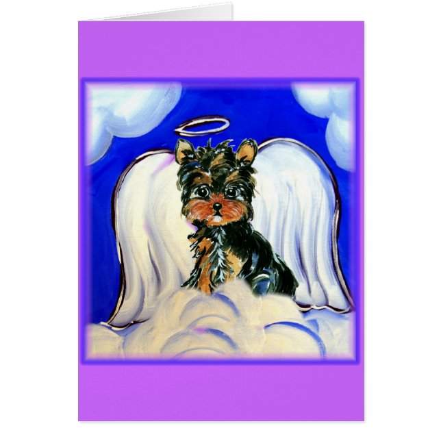Yorkie Poo Angel (Vorne)