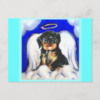 Yorkie Poo Angel