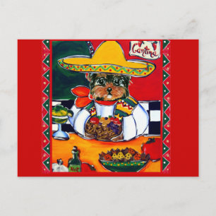 Yorkie Poo Cinco de Mayo Postkarte