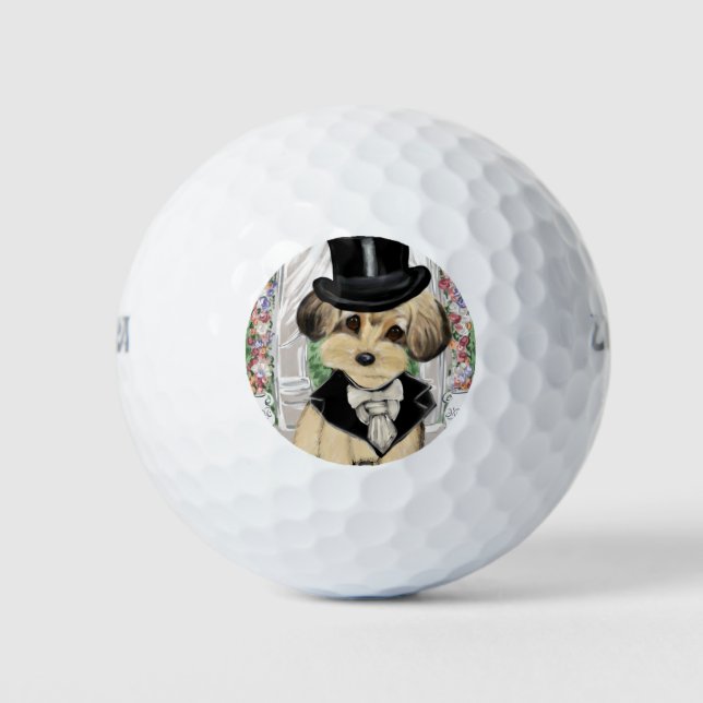 YORKIE POO GOLFBALL (Vorderseite)