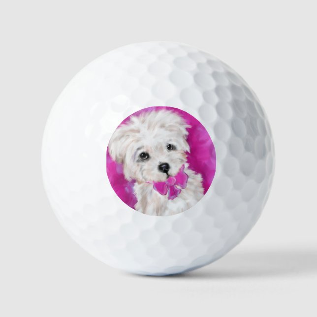 YORKIE POO GOLFBALL (Vorderseite)