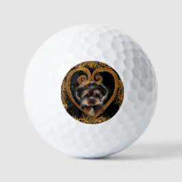 Yorkie Poo Golfball