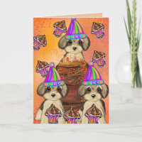 Yorkie Poo