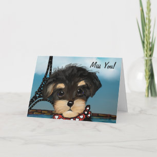 YORKIE POO KARTE