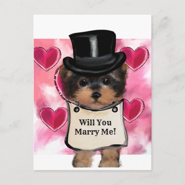Yorkie Poo Postkarte (Vorderseite)