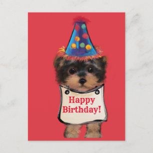 Yorkie Poo Postkarte