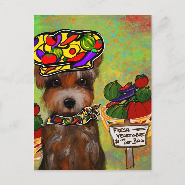 Yorkie Poo Postkarte (Vorderseite)
