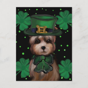 Yorkie Poo Postkarte