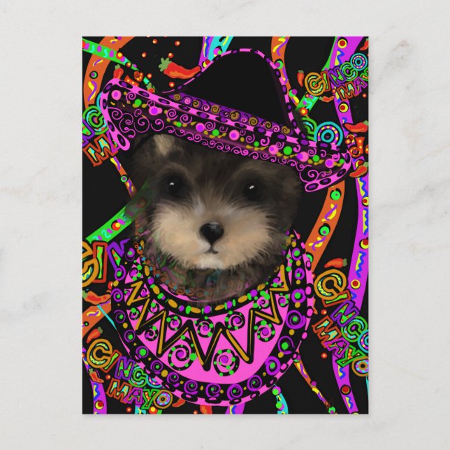 Yorkie Poo Postkarte (Vorderseite)