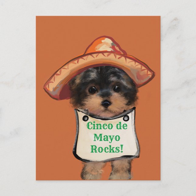 Yorkie Poo Postkarte (Vorderseite)