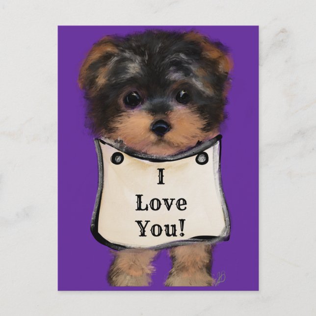 Yorkie Poo Postkarte (Vorderseite)