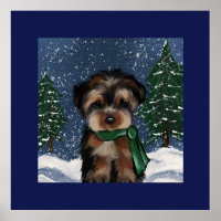 YORKIE