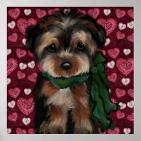 YORKIE