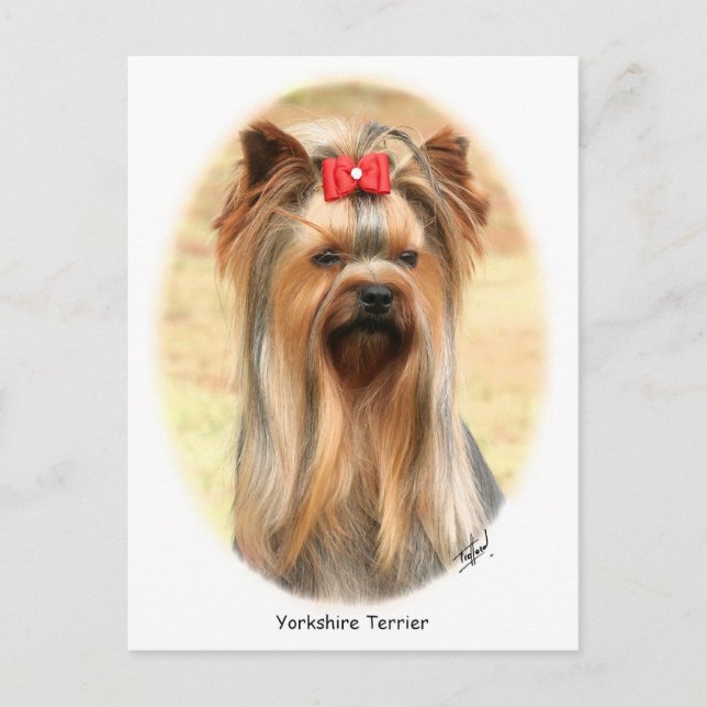 Yorkie Postkarte (Vorderseite)