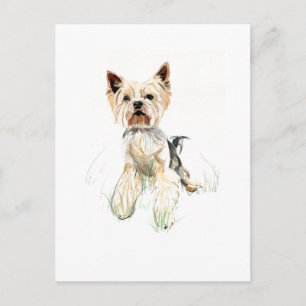 Yorkie Postkarte – Yorkshire Terrier, Hundebesitze