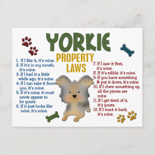 Yorkie Property Laws 4 Postkarte
