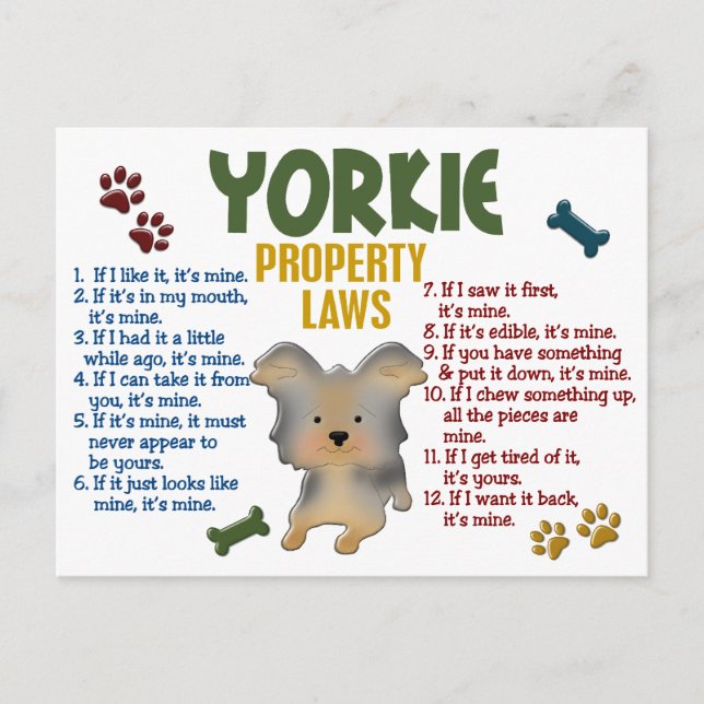 Yorkie Property Laws 4 Postkarte (Vorderseite)