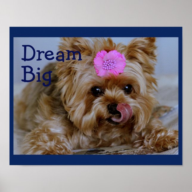 Yorkie Pup mit rosa Blume im Haar Poster (Vorne)