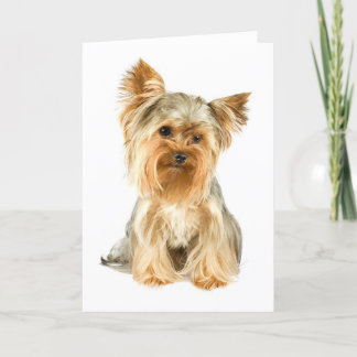 Yorkie Puppy Grußkarte Karte