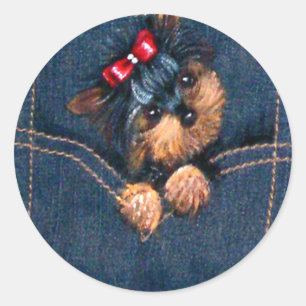 Yorkie Puppy in Pocket Runder Aufkleber