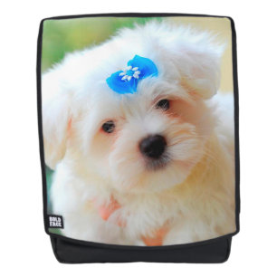 Yorkie Rucksack