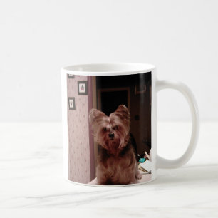 Yorkie Schale Tasse