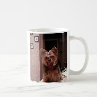 Yorkie Schale Tasse
