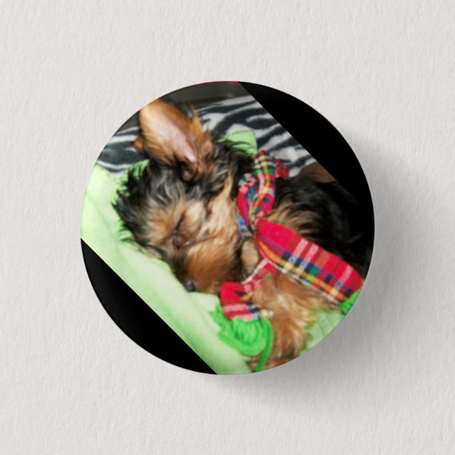 Yorkie Snuggle Button (Vorderseite)