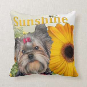 Yorkie Sonnenblumen und Hummel-Bienen durch Kissen