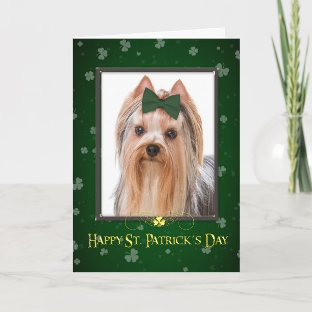Yorkie St Patrick Tageskarte Karte (Vorderseite)