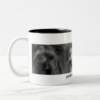 Yorkie Tasse